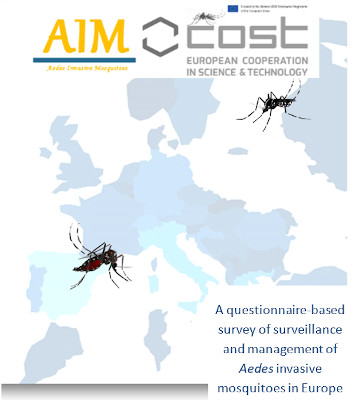 AIMCOST Questionnaire report